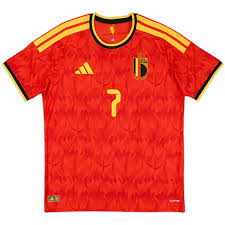 Debryune - Belgium - Home Kit - WC Edition